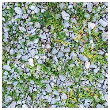 Weed Control in Phoenix, Tucson, & the East Valley