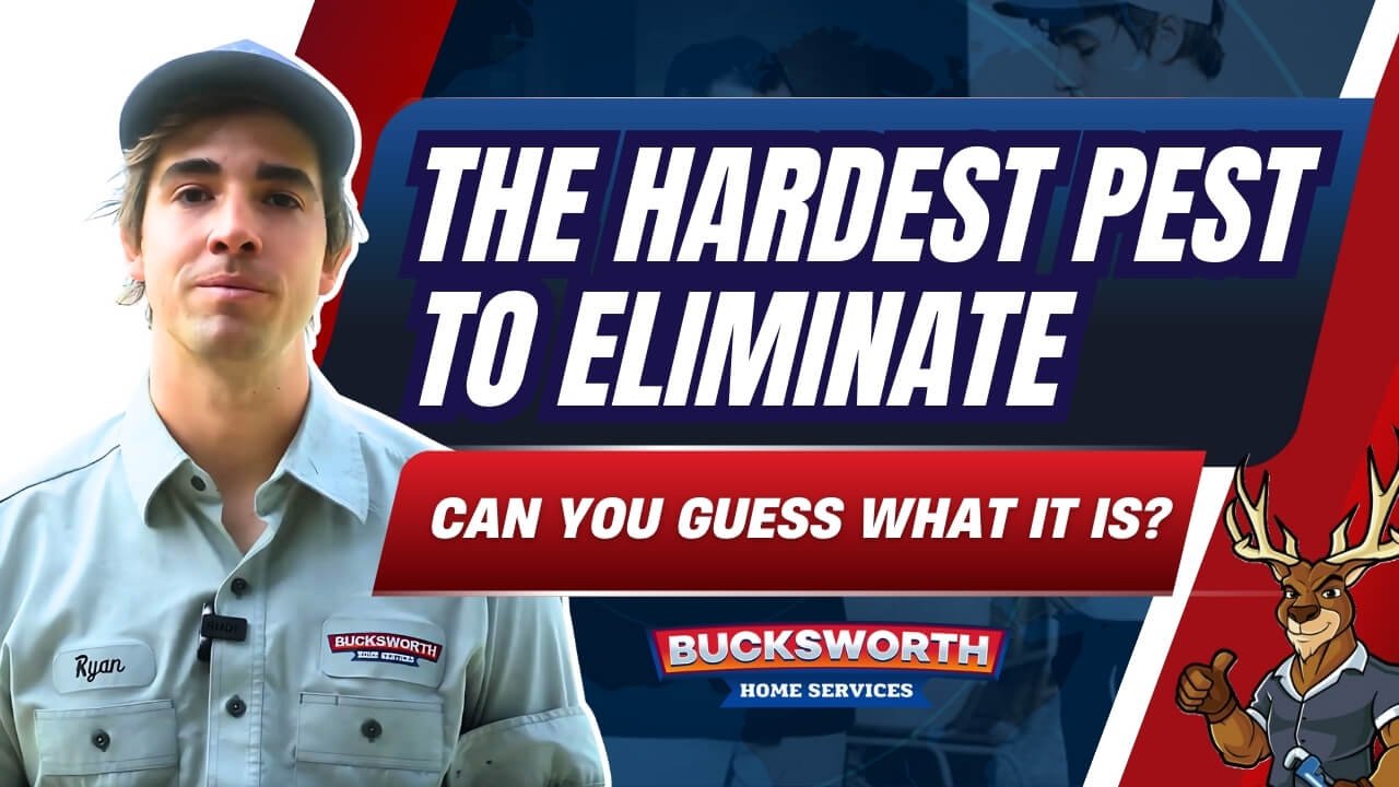 Hardest Pest Video Thumbnail