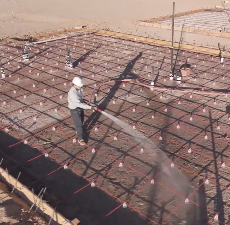 pest control roof | Bucksworth